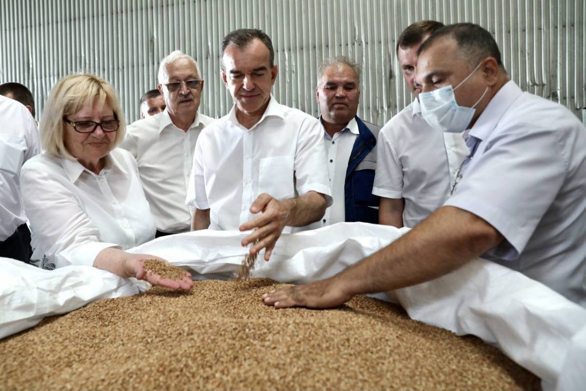Губернатор Краснодарского края посетил Ладожский кукурузокалибровочный завод
