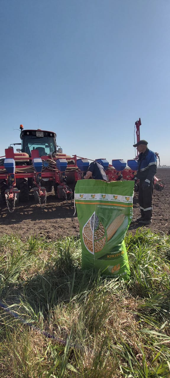 В Краснодарском крае сев кукурузы идет полным ходом!