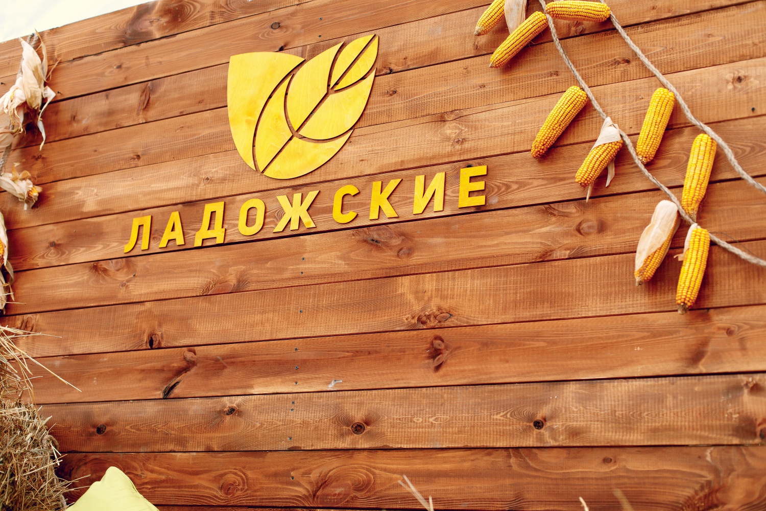 Объединение «Семеноводство Кубани» вложило 60 млн руб. в новую селекционную станцию