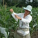 «Семеноводство Кубани» обучило агрономов-семеноводов