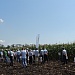 День поля в Тимашевском районе на базе САФ "Русь"