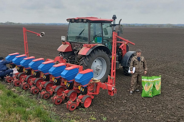 Подходит к завершению сев кукурузы в Краснодарском крае